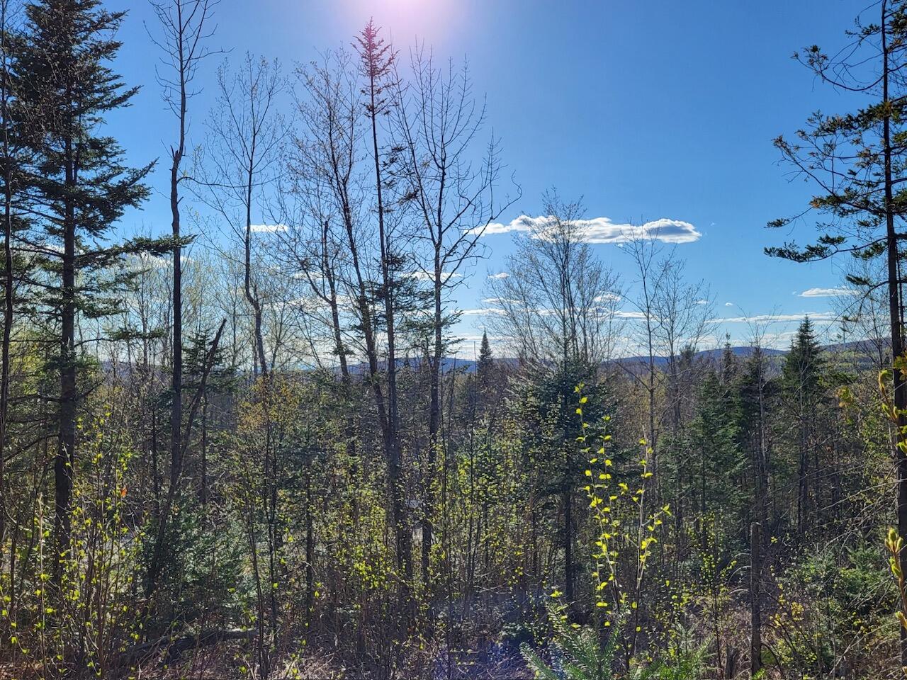 Lot 6 South Oakfield Road Oakfield, ME 04763 - Photo 6 of 23 Resized_20230506_170123_1705368020065