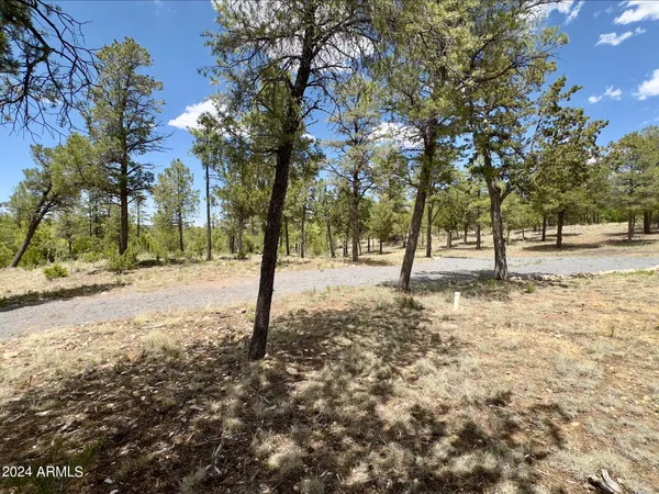 a view of road with trees