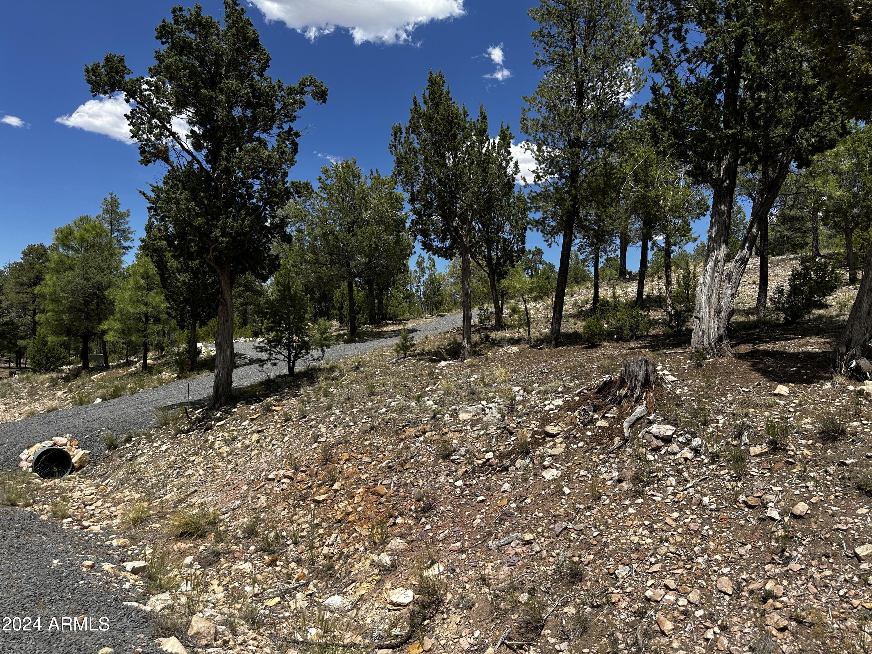3337 Saw Mill Ridge Loop, Unit 98 Heber, AZ 85928 - Photo 5 of 8 a view of outdoor space with trees