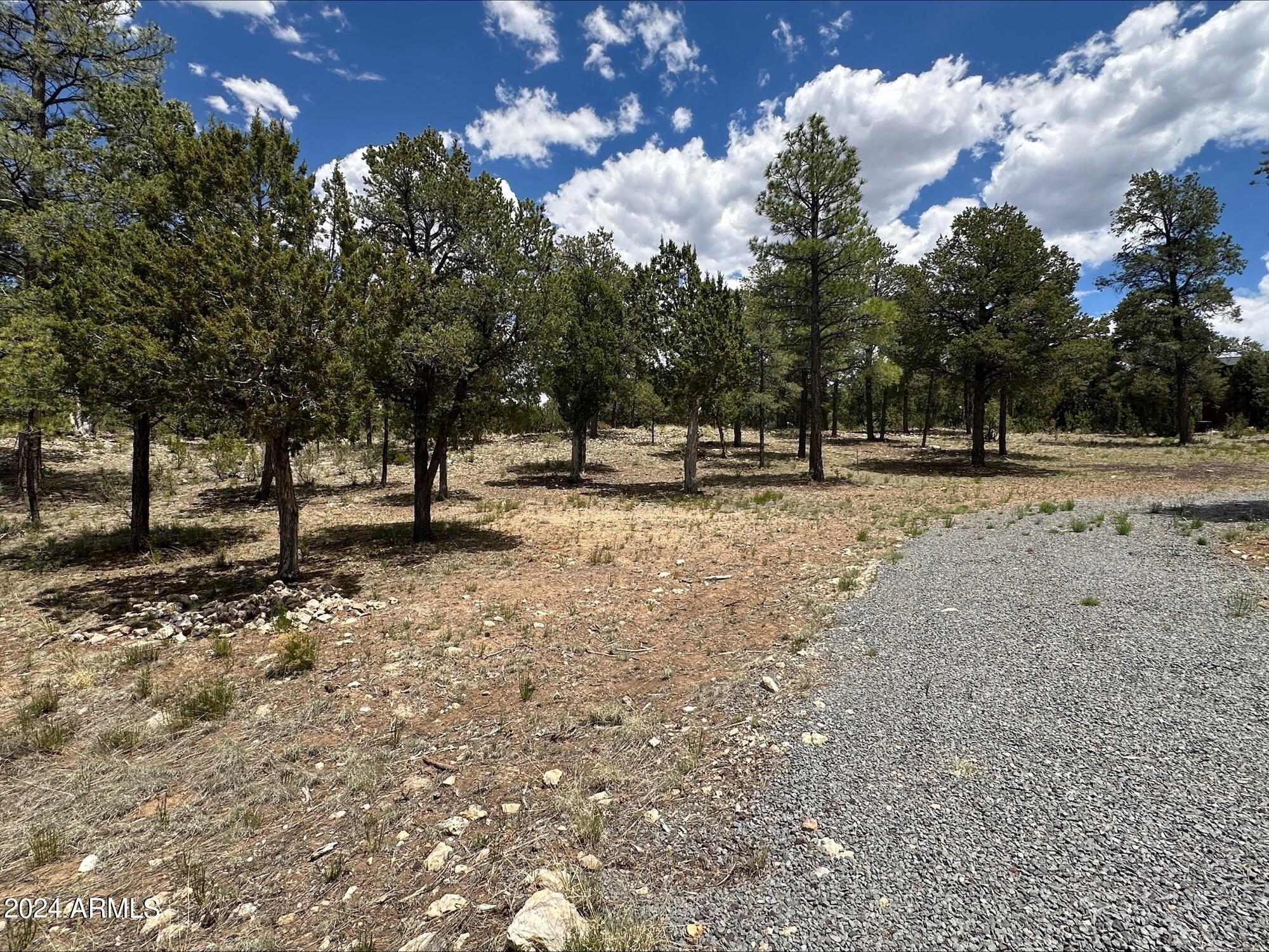 3337 Saw Mill Ridge Loop, Unit 98 Heber, AZ 85928 - Photo 6 of 8 a view of dirt yard with a large tree