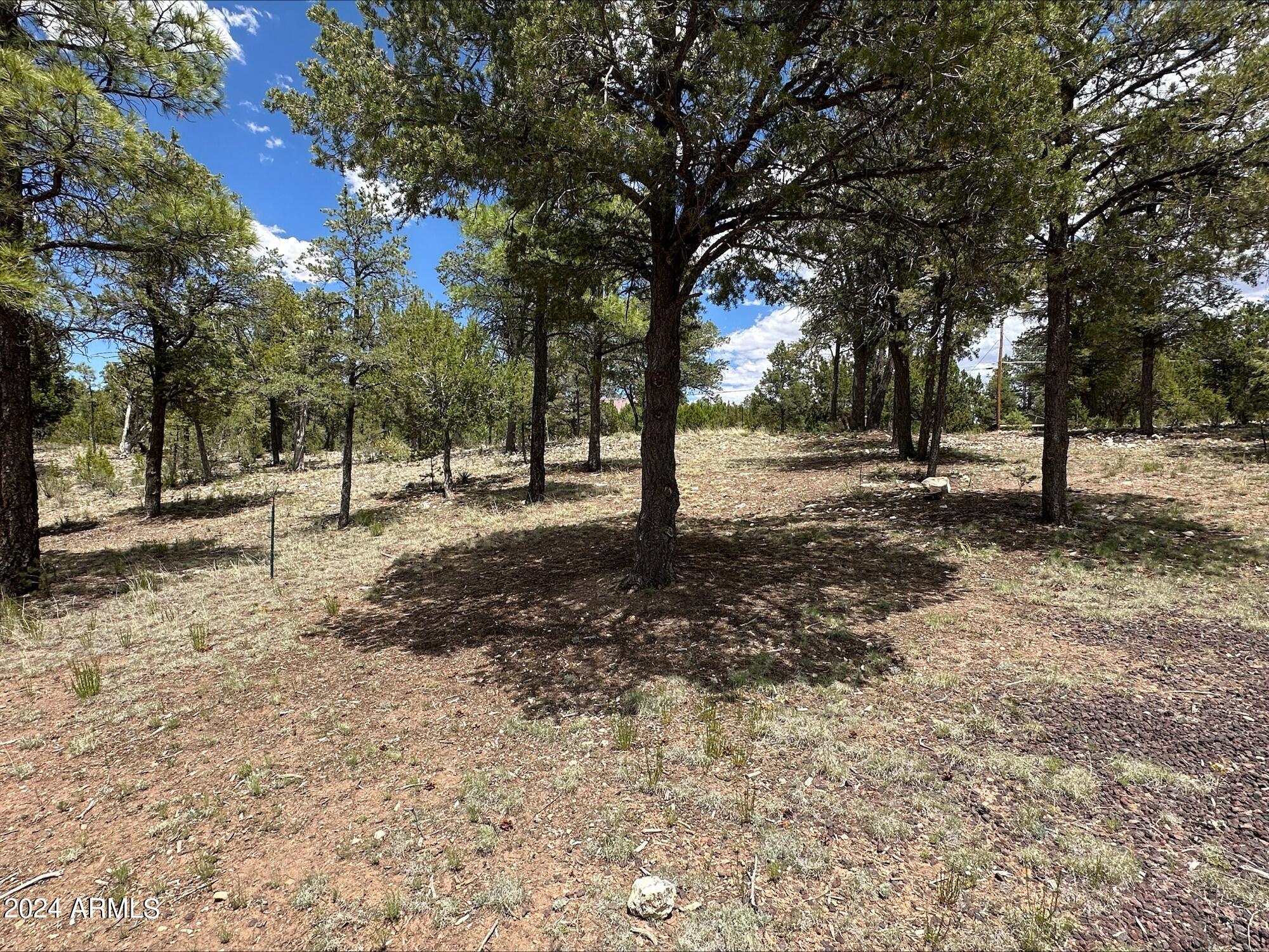 3337 Saw Mill Ridge Loop, Unit 98 Heber, AZ 85928 - Photo 8 of 8 a view of road with trees
