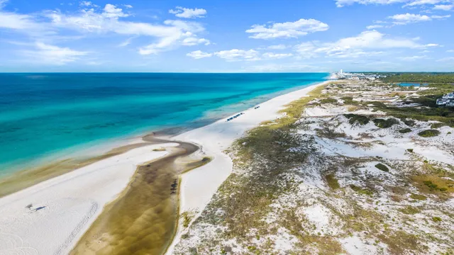 $6,250,000 | 107 Golfridge Dr Inlet Beach, Inlet Beach, FL 32461