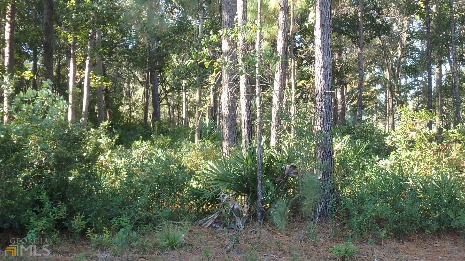 V/l 73 Eagle Crest Drive Waverly, GA 31565 - Photo 1 of 1 a view of outdoor space and tree