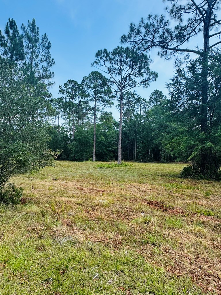 175 Skipper Road Carrabelle, FL 32322 - Photo 5 of 10