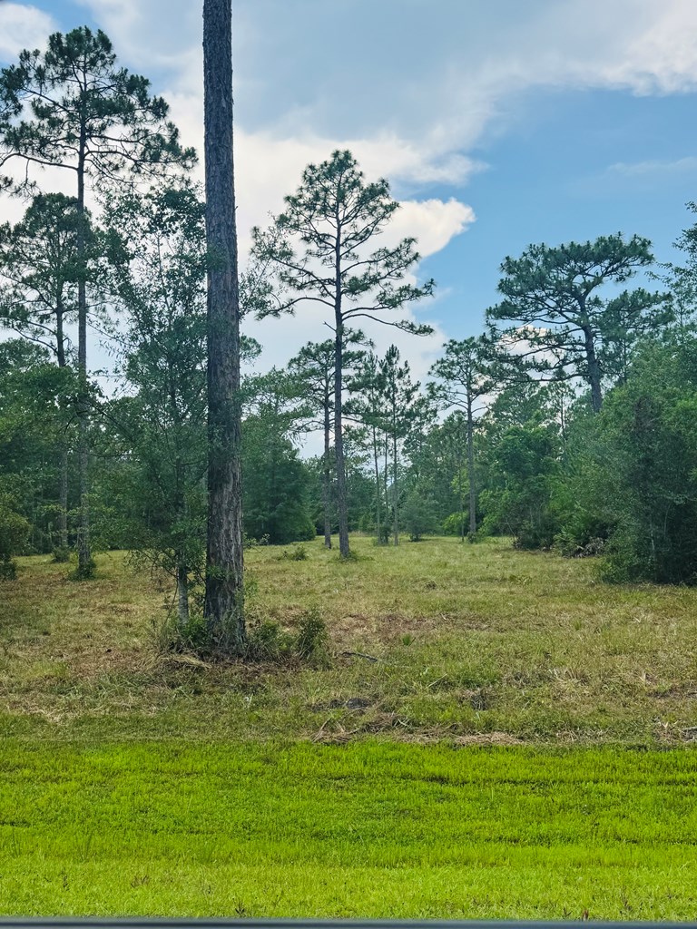 175 Skipper Road Carrabelle, FL 32322 - Photo 10 of 10