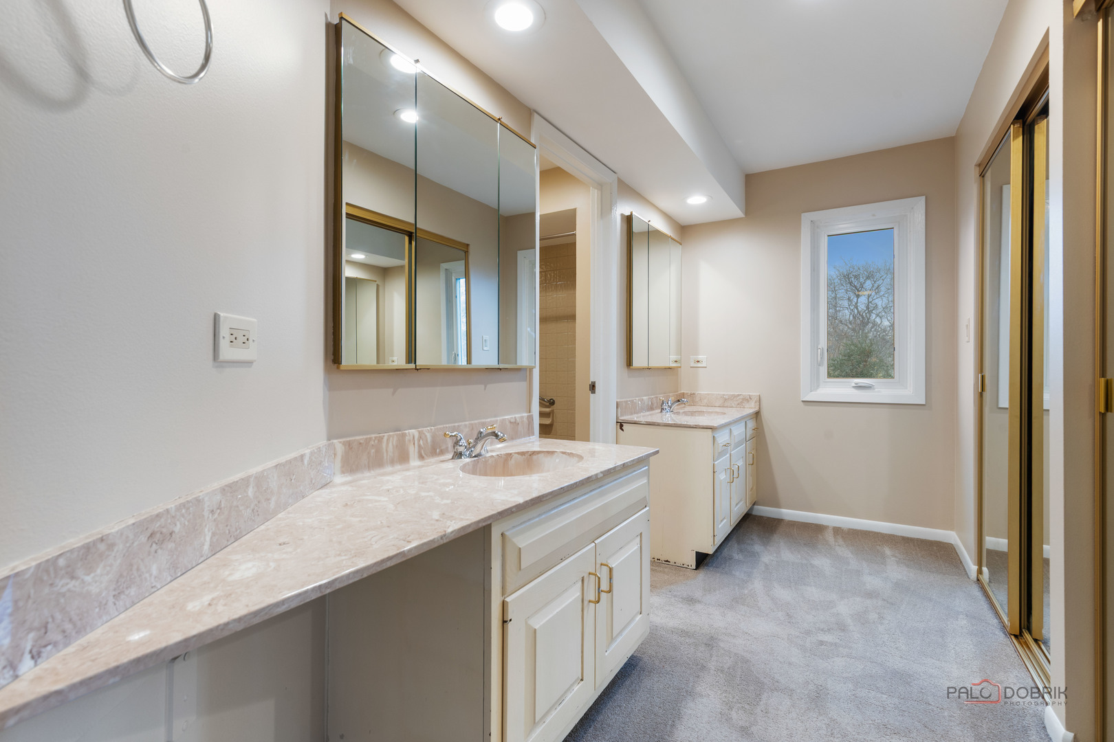 825 Downing Street Northbrook, IL 60062 - Photo 17 of 29 a bathroom with a double vanity sink and mirror