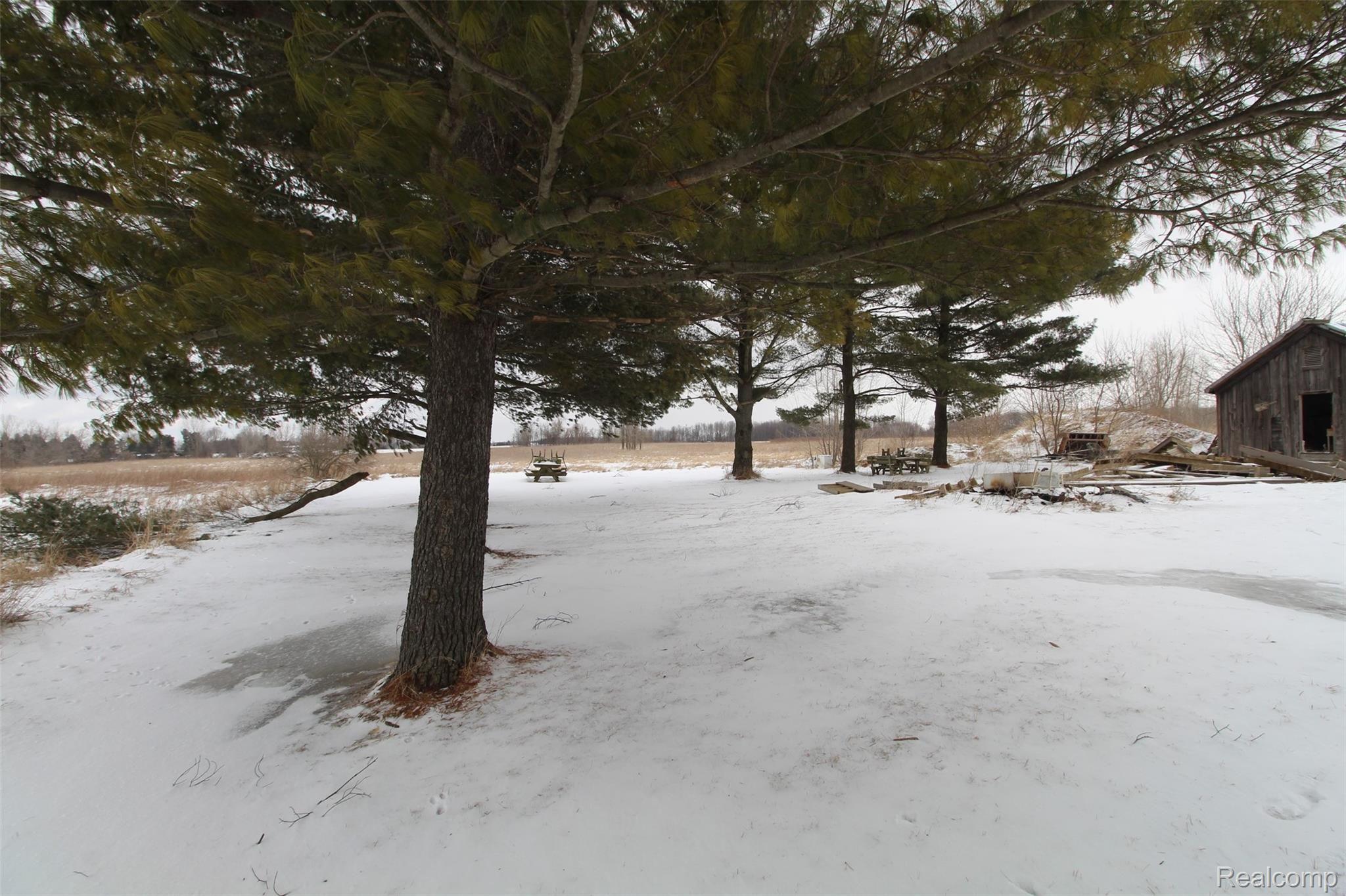 5543 Mayville Road Clifford, MI 48727 - Photo 36 of 60 IMG_0030.JPG