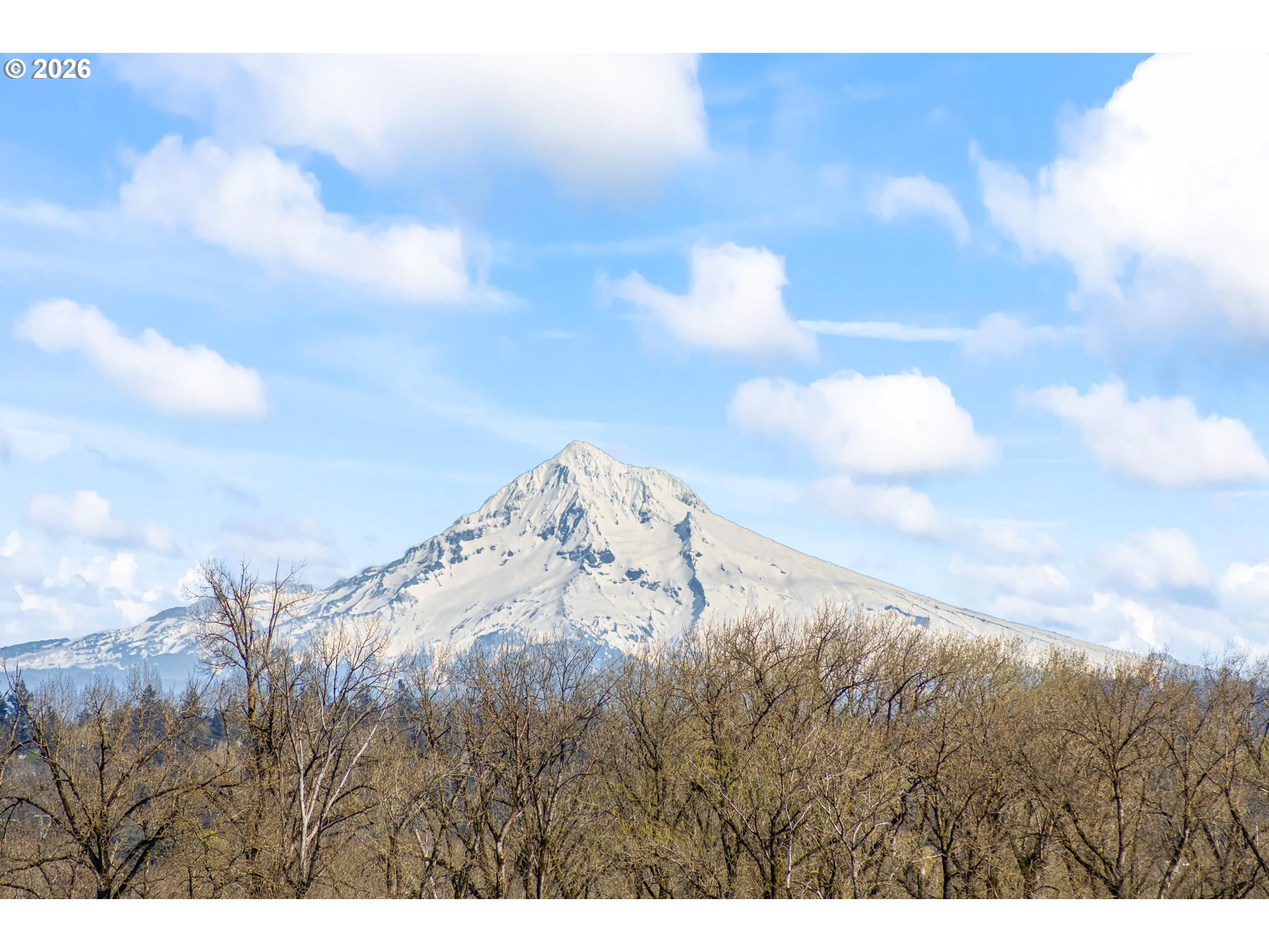 4644 South Kelly Avenue Portland, OR 97239 - Photo 34 of 42 a view of a sky