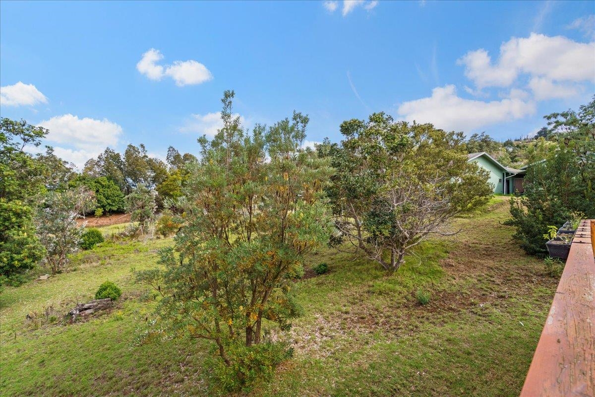 31 Hapapa Road, Unit B Kula, HI 96790 - Photo 42 of 50 Backyard