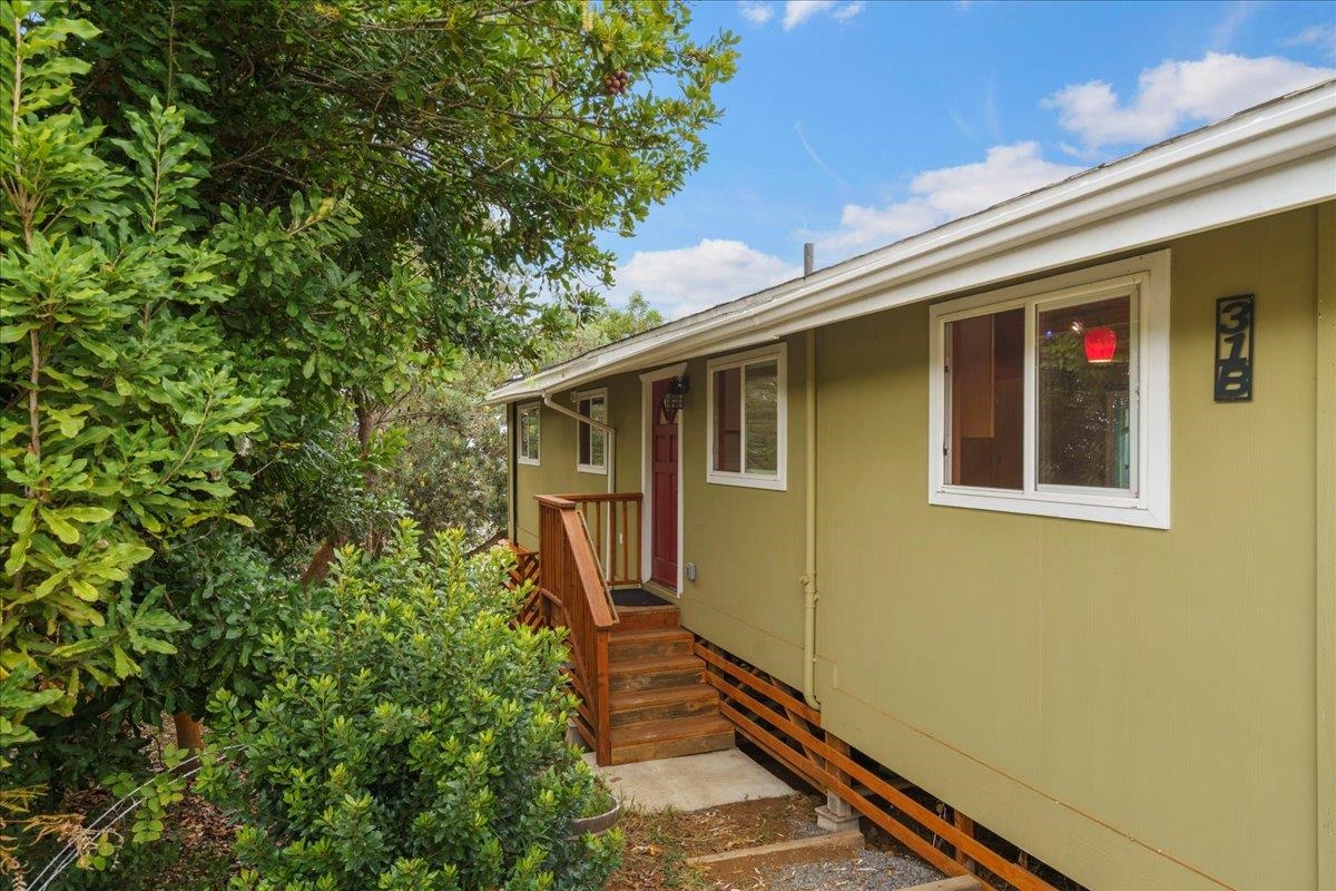 31 Hapapa Road, Unit B Kula, HI 96790 - Photo 44 of 50 Front Door - macadamia trees