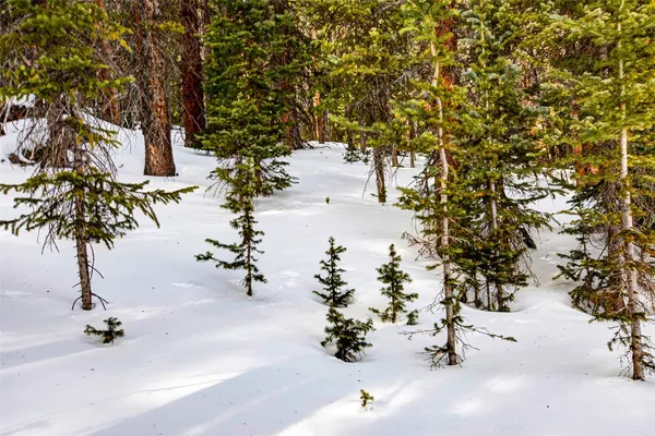 $53,700 | 345 Bum Drive, Fairplay, CO 80440