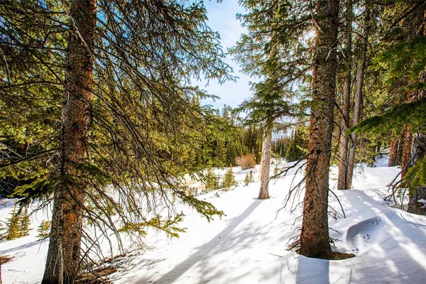 $53,700 | 345 Bum Drive, Fairplay, CO 80440