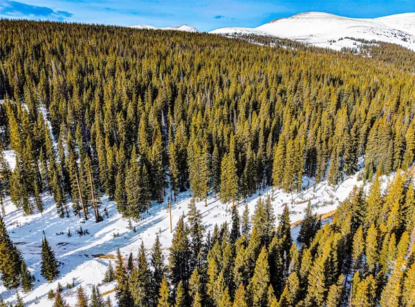 $53,700 | 345 Bum Drive, Fairplay, CO 80440