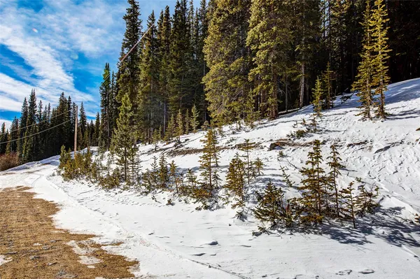 $53,700 | 345 Bum Drive, Fairplay, CO 80440