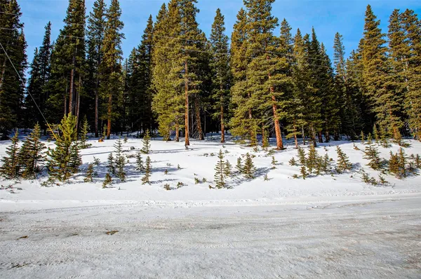 $53,700 | 345 Bum Drive, Fairplay, CO 80440