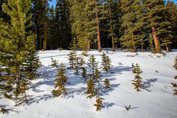 $53,700 | 345 Bum Drive, Fairplay, CO 80440