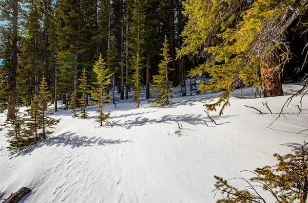 $53,700 | 345 Bum Drive, Fairplay, CO 80440