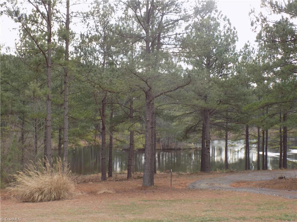 177 Christopher Road Stokesdale, NC 27357 - Photo 16 of 19 Gallery Image 16