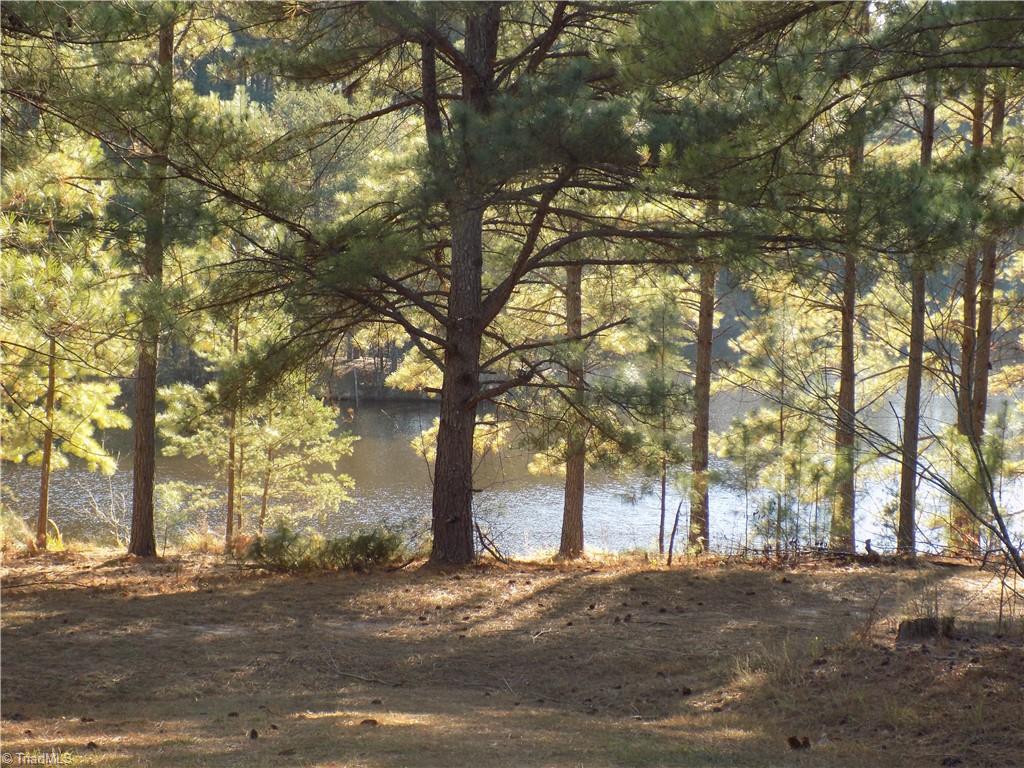 177 Christopher Road Stokesdale, NC 27357 - Photo 17 of 19 Gallery Image 17