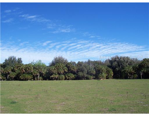 Thompson Road Lithia, FL 33547 - Photo 1 of 1 Land