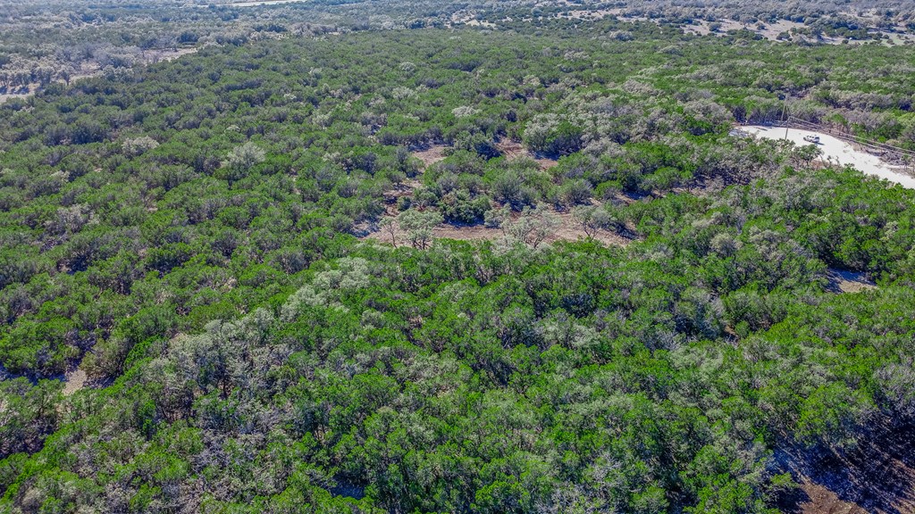 4 Gillespie Ridge Drive Mountain Home, TX 78058 - Photo 25 of 36