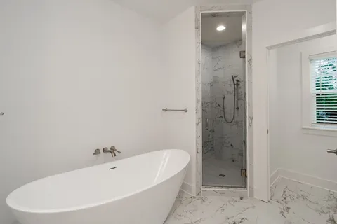 a bathroom with a bathtub and a shower