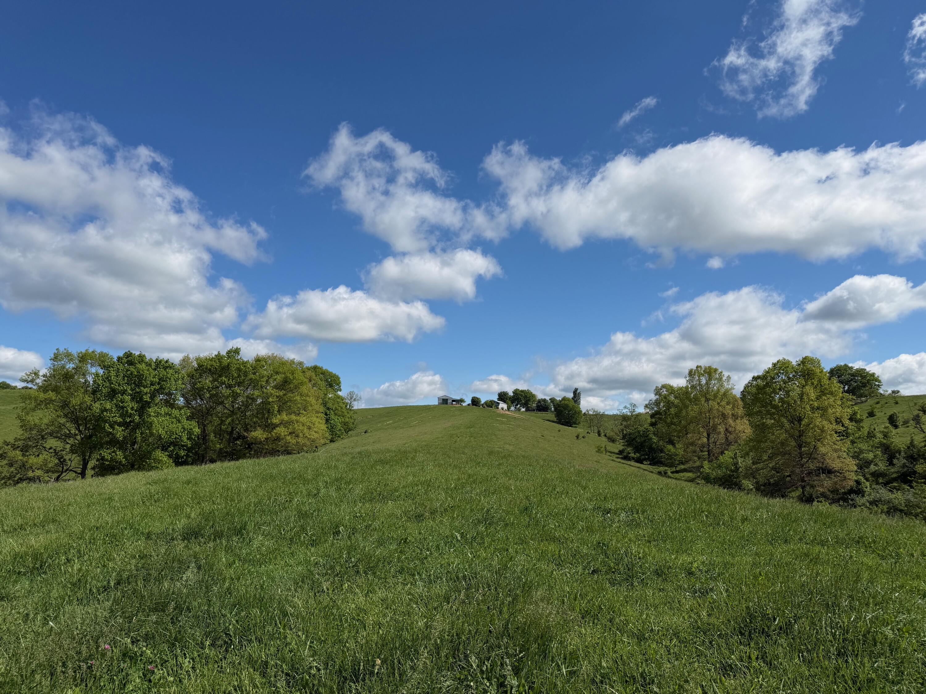 20.99-ac Chipman Ridge Road Williamstown, KY 41097 - Photo 15 of 21