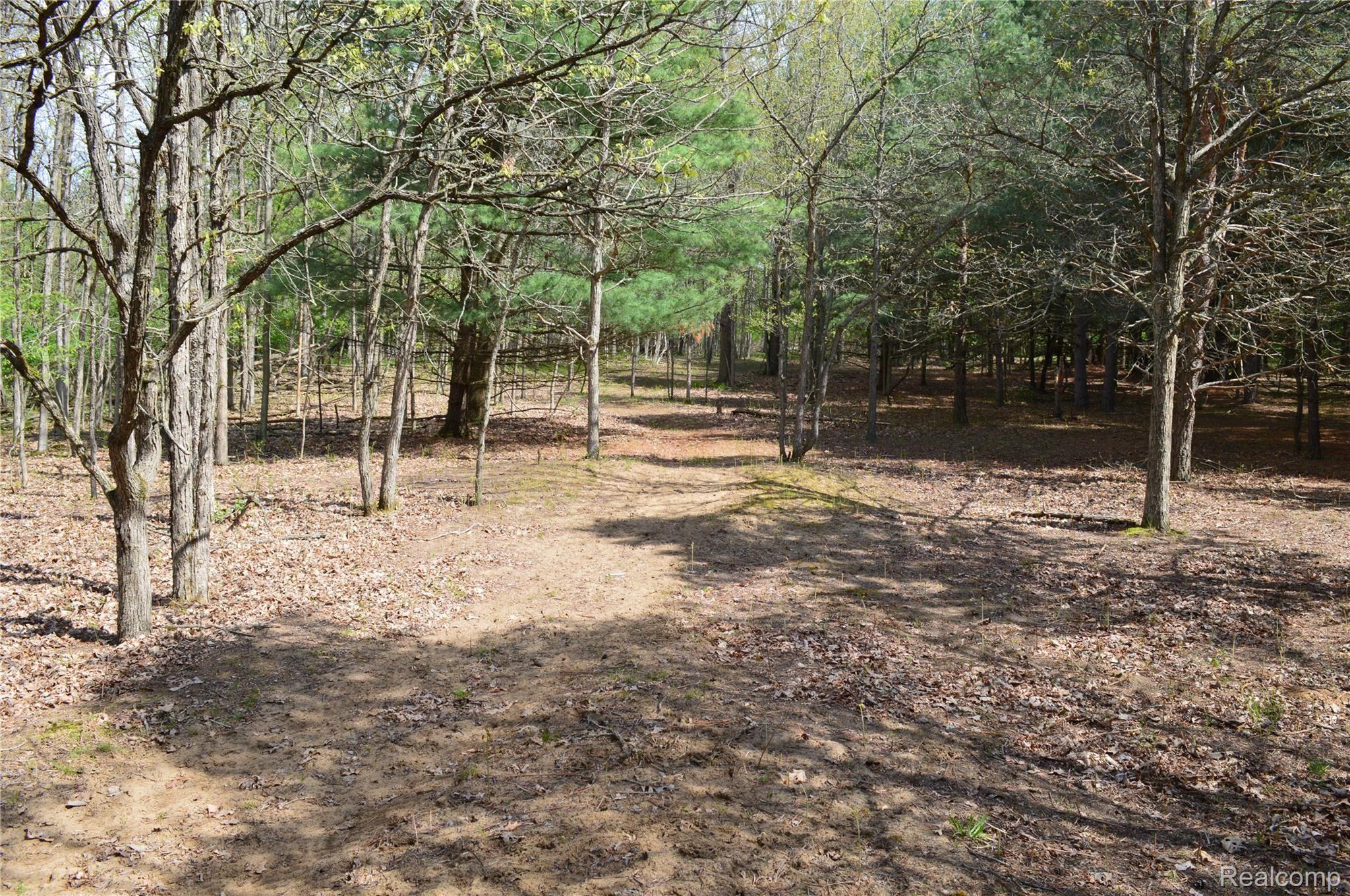 5245 Wilder Road Vassar, MI 48768 - Photo 35 of 40 Woods 9 (5245 Wilder Rd. Vassar)