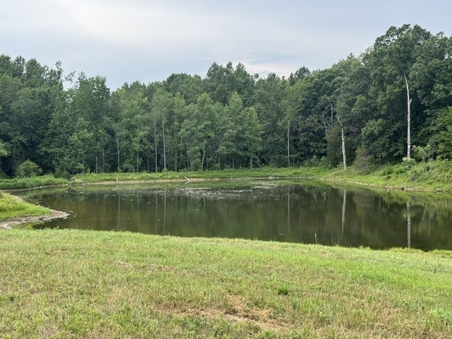 0 Cal Durham Road Bethpage, TN 37022 - Photo 5 of 28