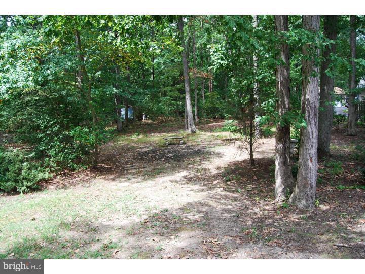 170 Stagecoach Road Turnersville, NJ 08012 - Photo 11 of 11 Back Yard