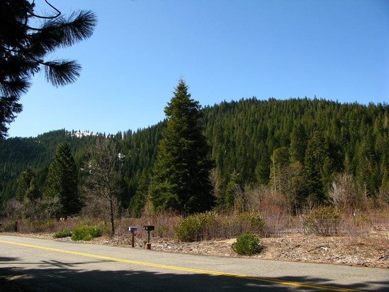 0 Davis Place Road Mount Shasta, CA 96067 - Photo 2 of 16 Gallery Image 2