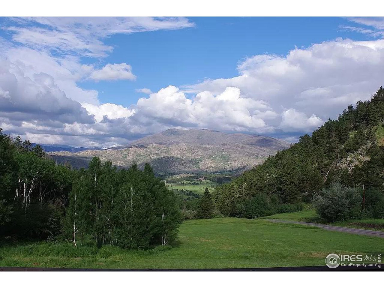 16705 Rist Canyon Road Bellvue, CO 80512 - Photo 1 of 25 a view of a big yard