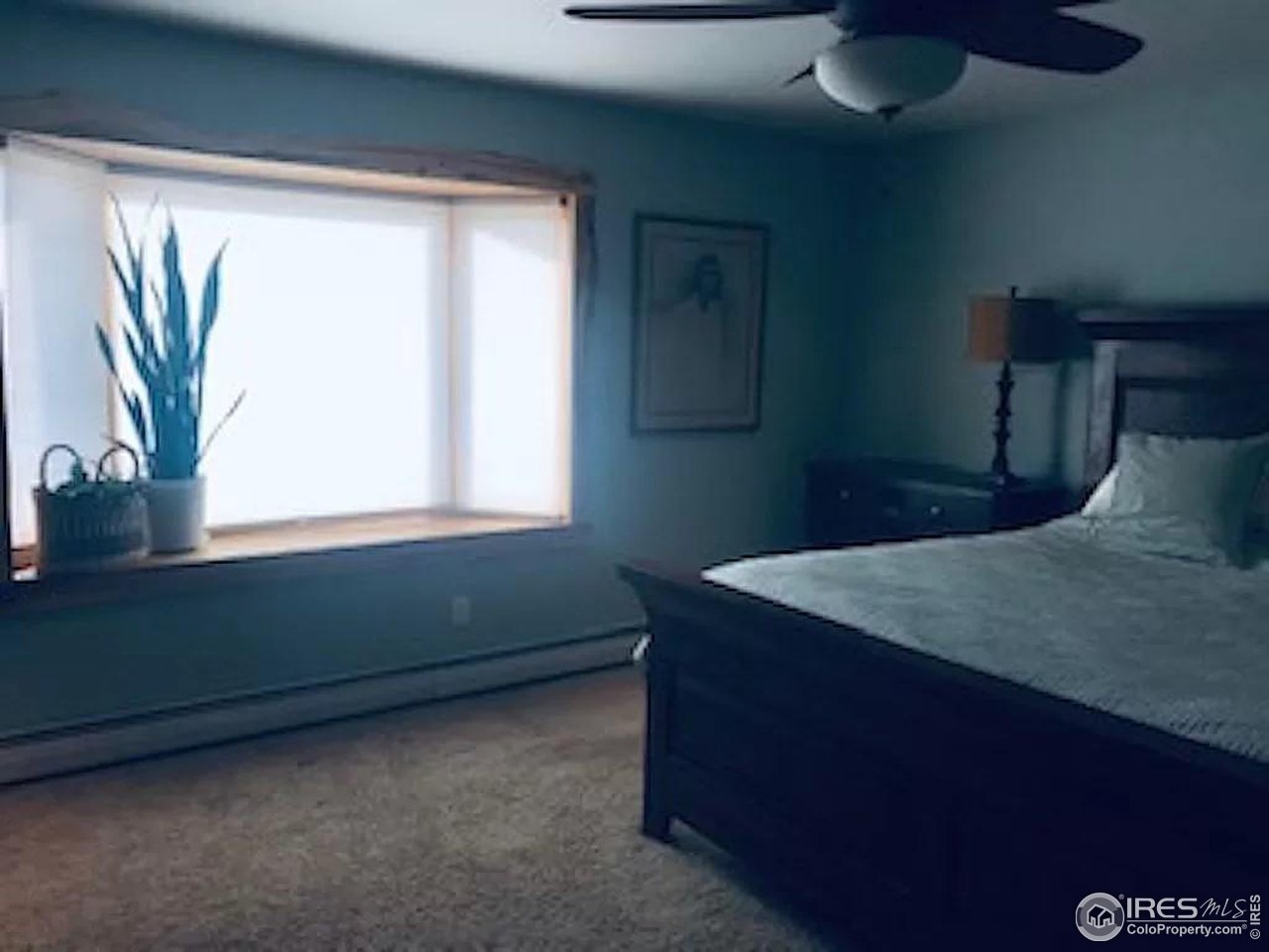 16705 Rist Canyon Road Bellvue, CO 80512 - Photo 16 of 25 a room with a window and a potted plant
