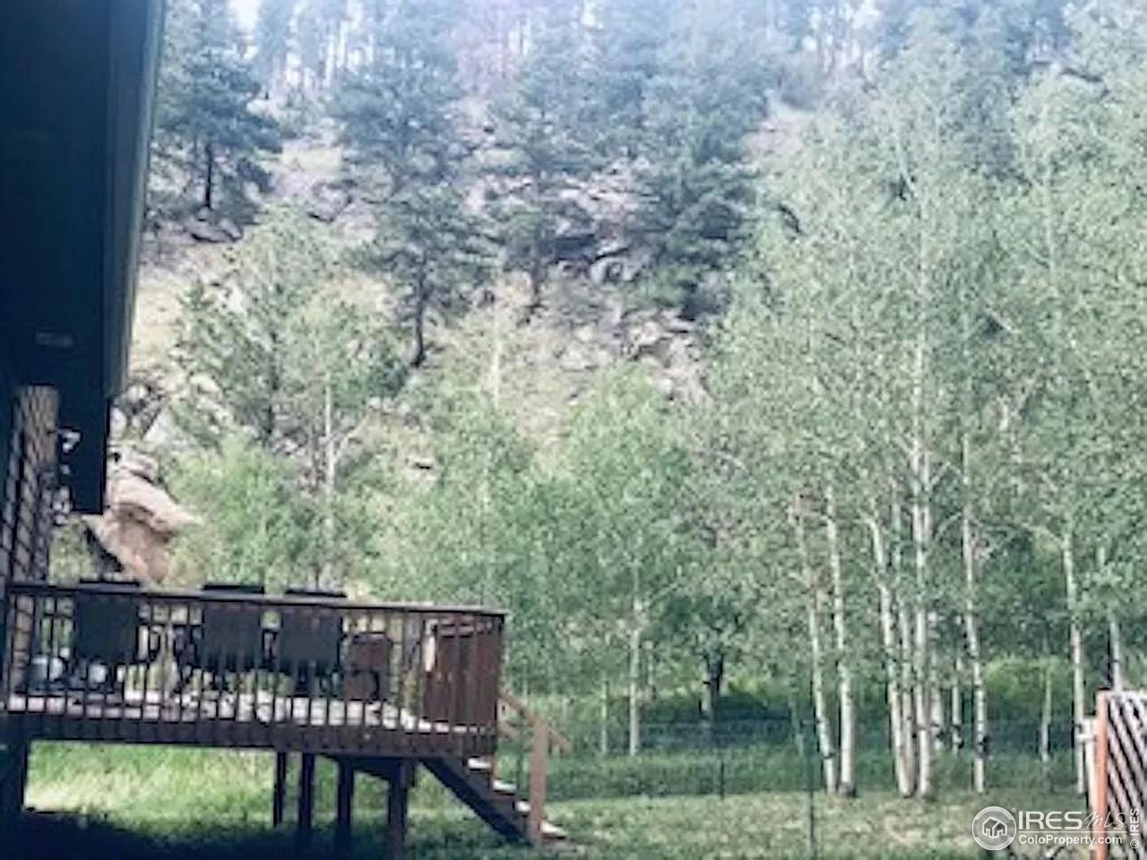 16705 Rist Canyon Road Bellvue, CO 80512 - Photo 8 of 25 a view of a wooden bench and trees in the background