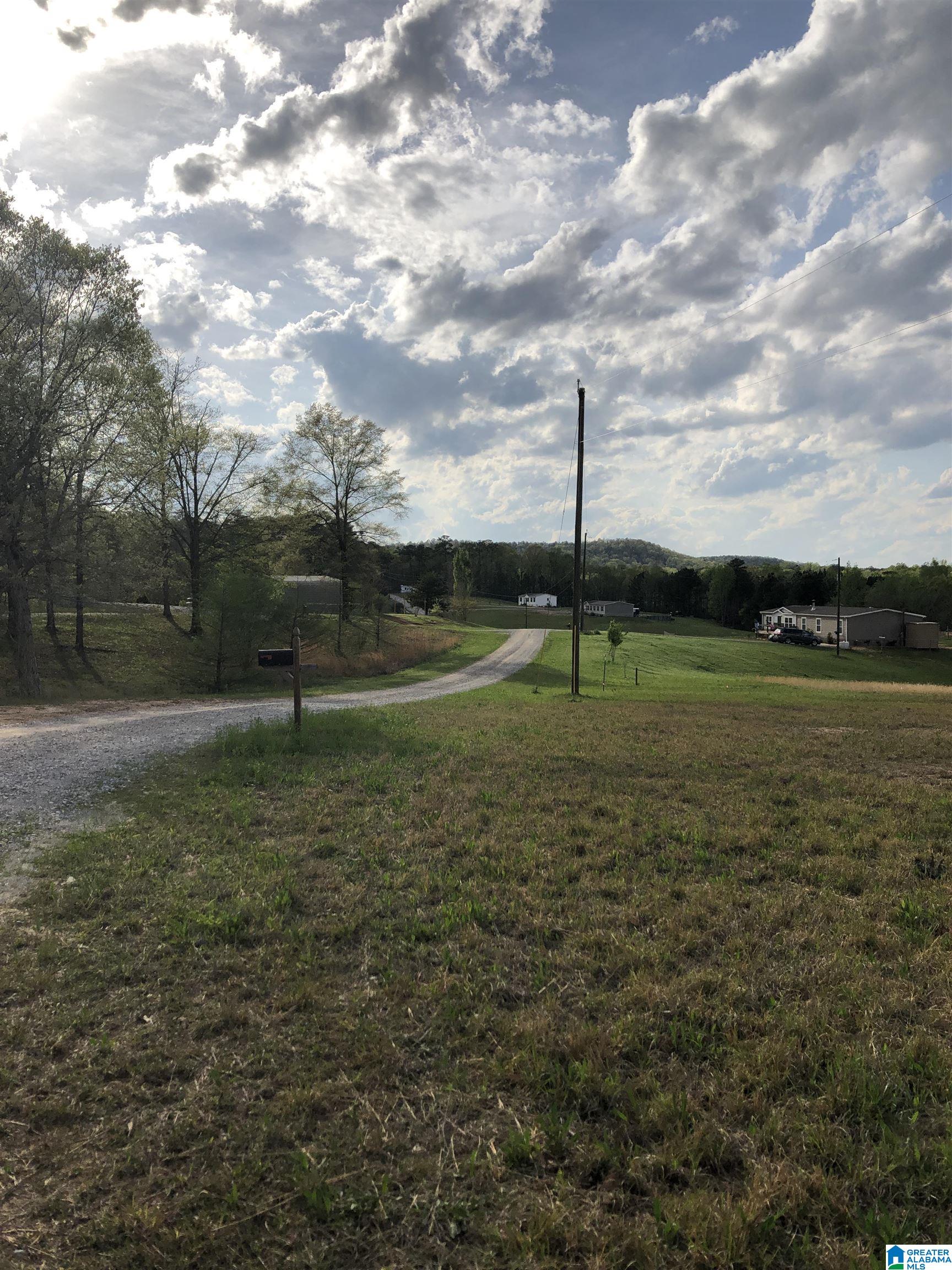 0 County Road 835, Unit 1 Clanton, AL 35046 - Photo 3 of 5
