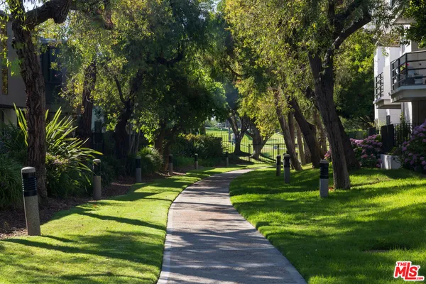 a view of a park with large trees