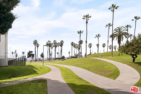 a view of a park with palm trees