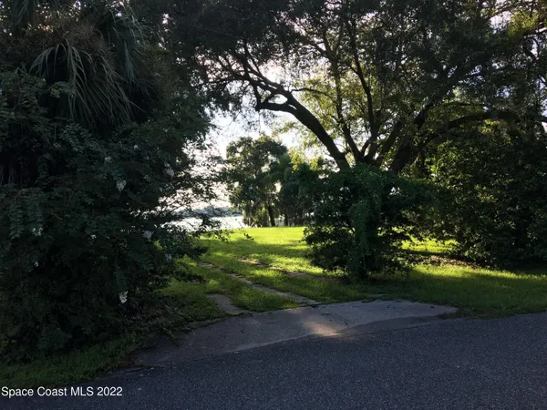 a yard with a trees