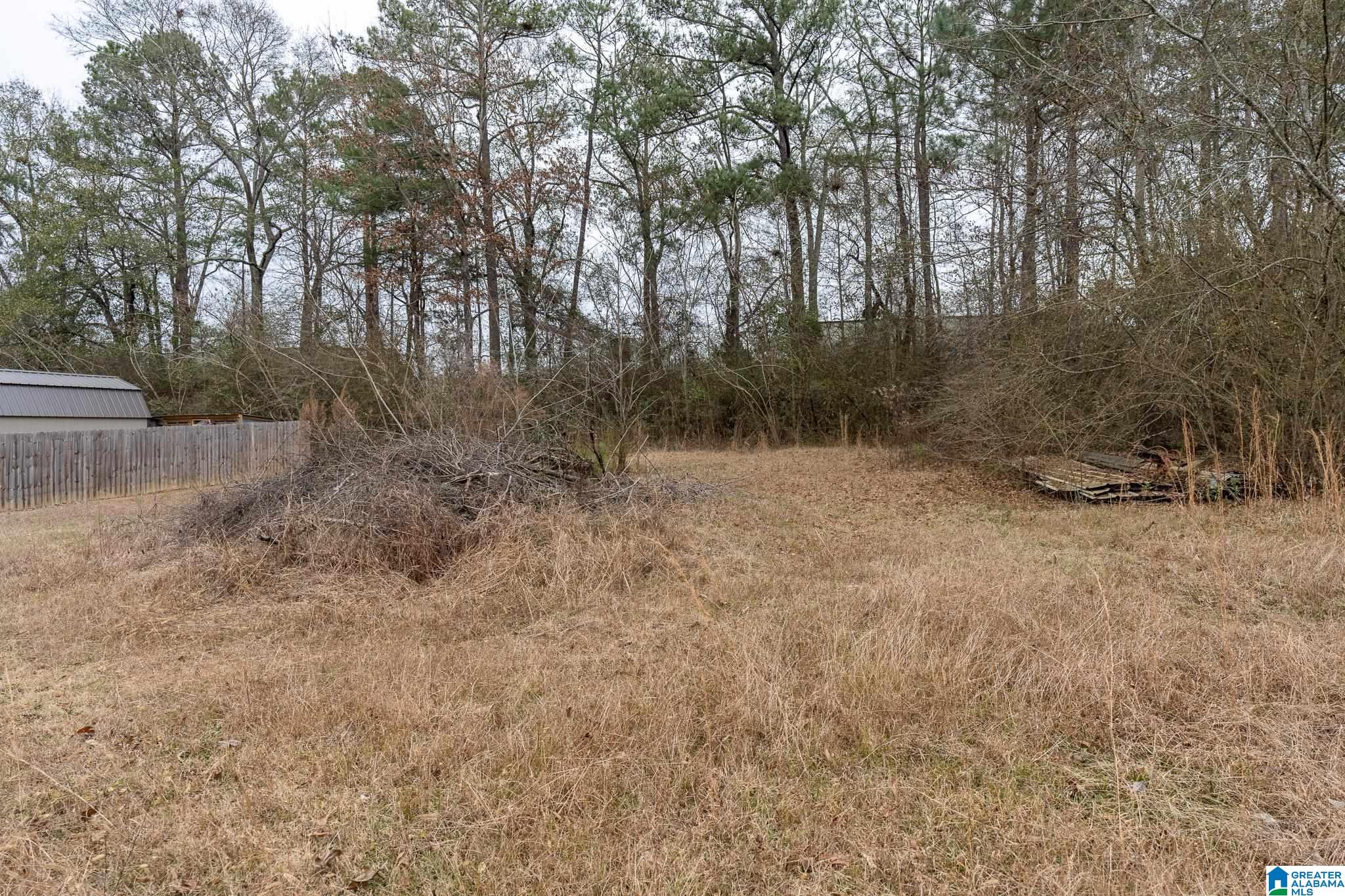 303 Florence Street Bessemer, AL 35023 - Photo 33 of 33
