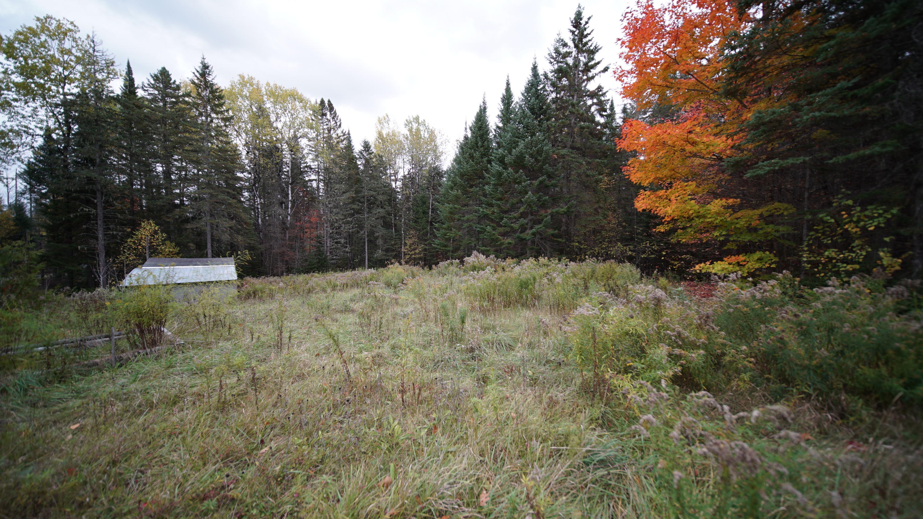 1093 Estabrook Road Amity, ME 04471 - Photo 26 of 32 DSC07631