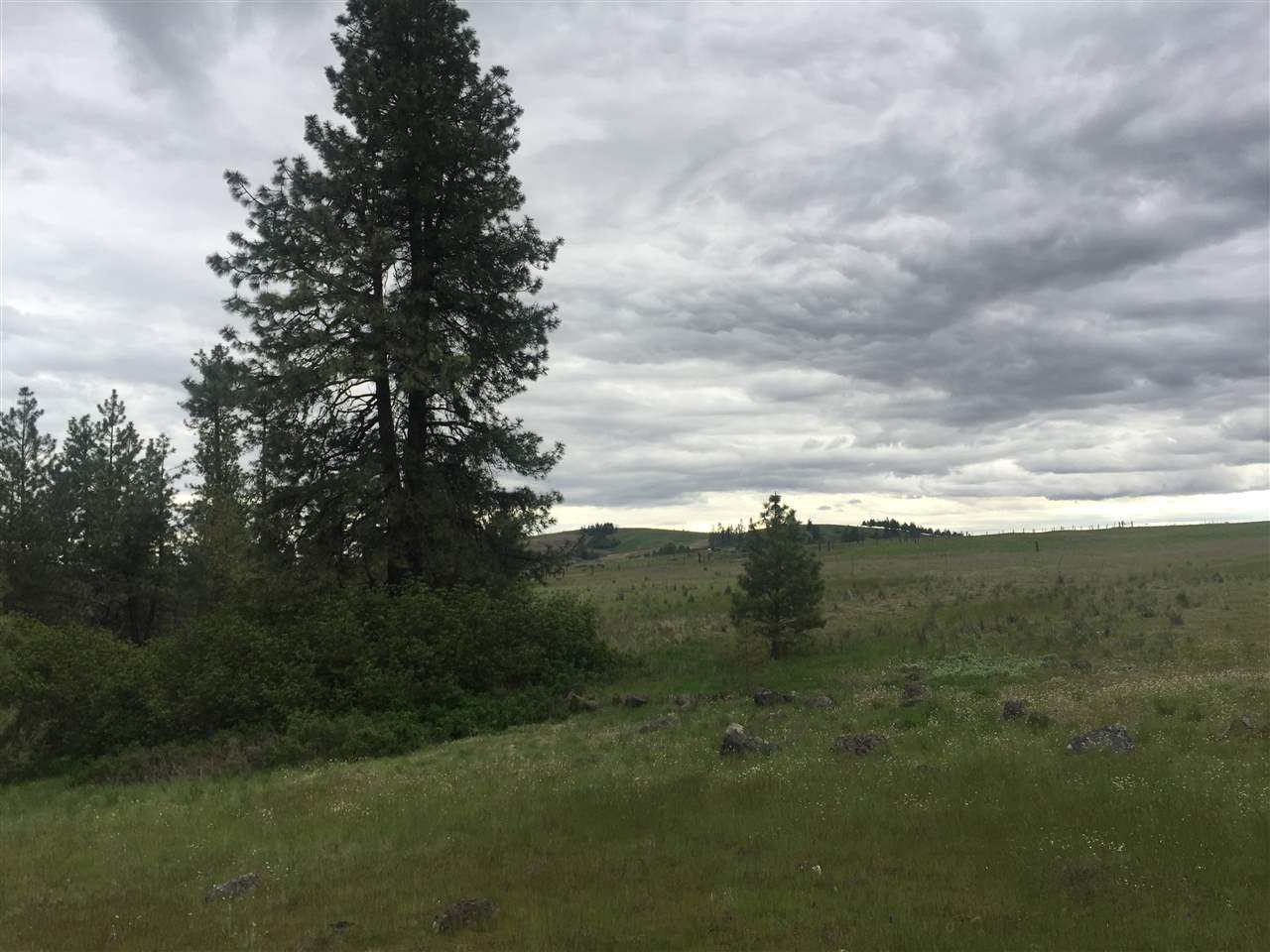 23102 West Jacobs Road Spokane, WA 99224 - Photo 1 of 13