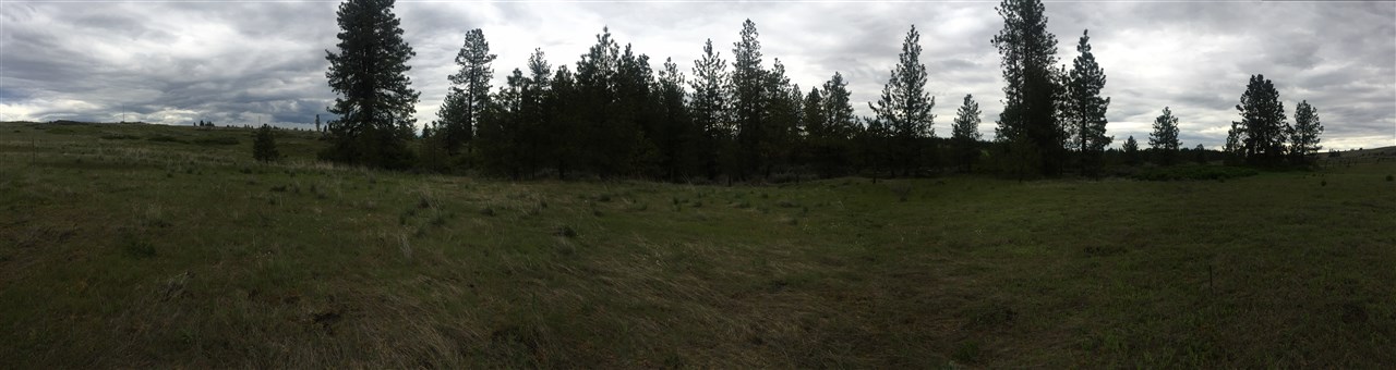 23102 West Jacobs Road Spokane, WA 99224 - Photo 2 of 13