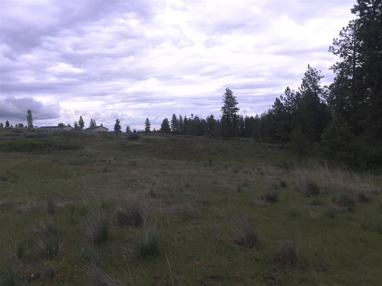 23102 West Jacobs Road Spokane, WA 99224 - Photo 4 of 13