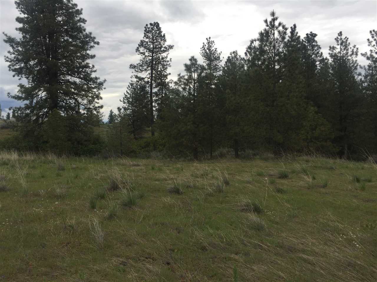 23102 West Jacobs Road Spokane, WA 99224 - Photo 6 of 13