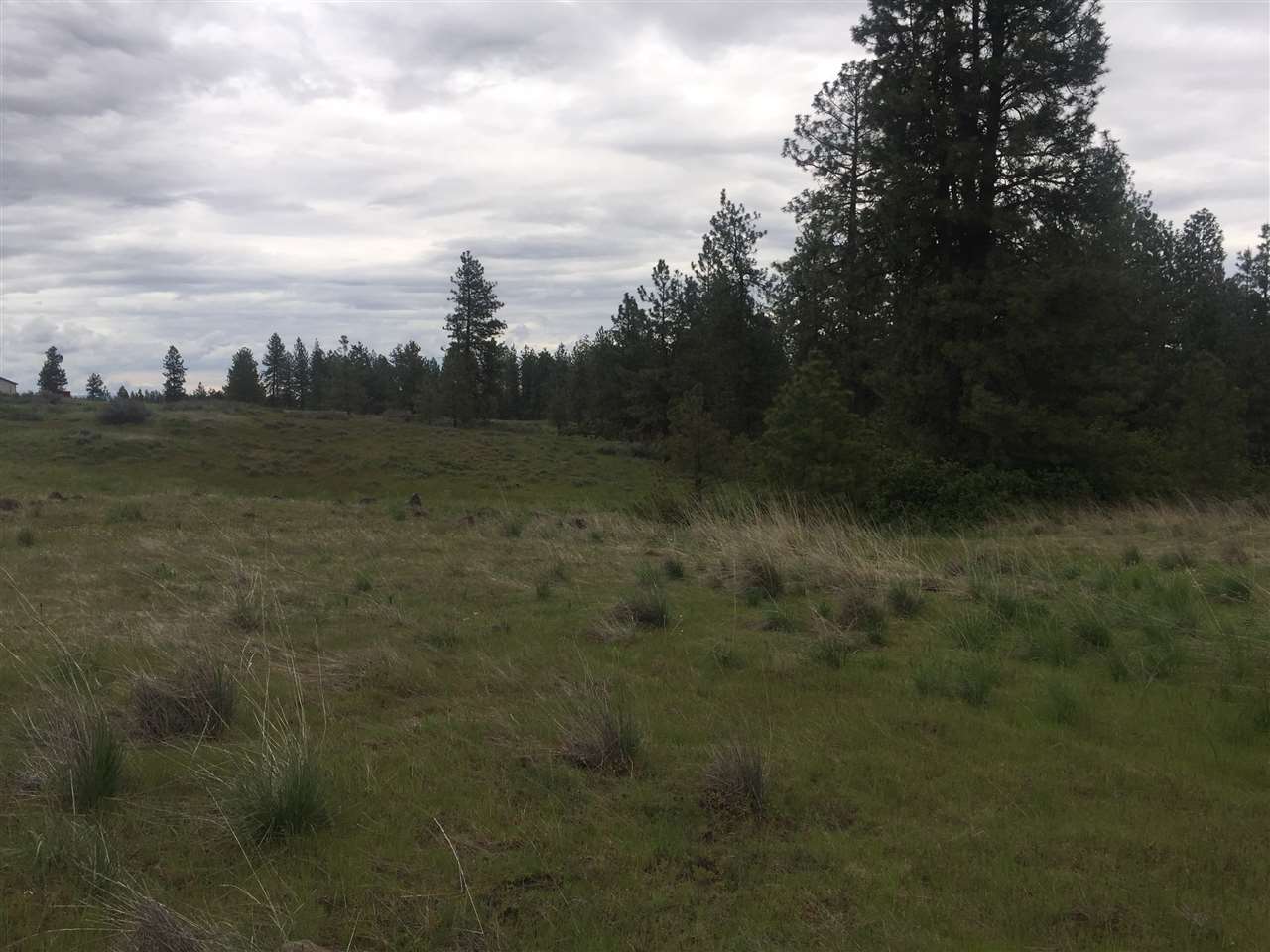 23102 West Jacobs Road Spokane, WA 99224 - Photo 7 of 13