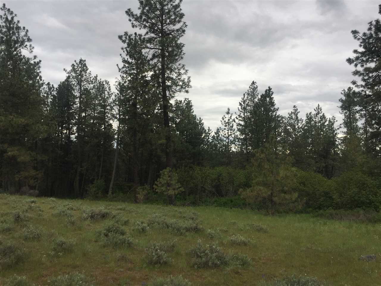 23102 West Jacobs Road Spokane, WA 99224 - Photo 8 of 13