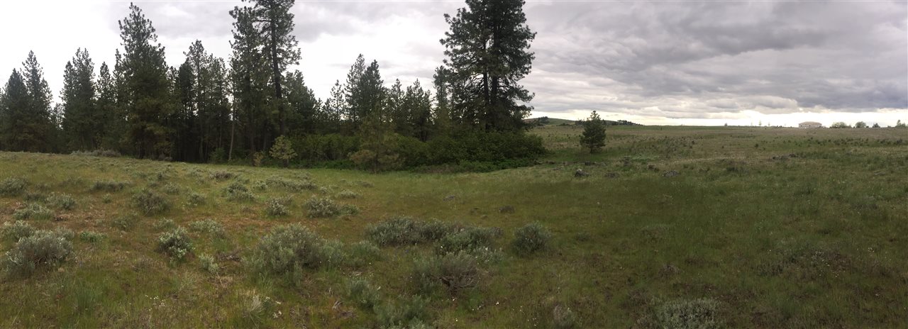 23102 West Jacobs Road Spokane, WA 99224 - Photo 9 of 13
