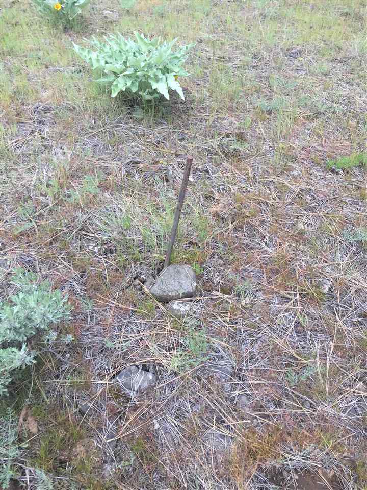 23102 West Jacobs Road Spokane, WA 99224 - Photo 10 of 13