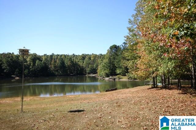0 County Road 928, Unit 19 Delta, AL 36258 - Photo 15 of 43