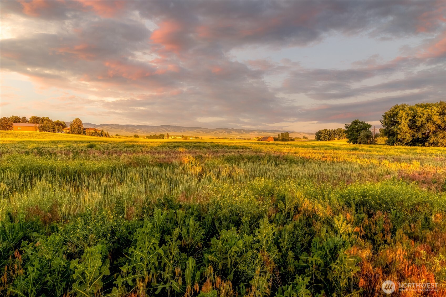 1519 Whiteley Road Walla Walla, WA 99362 - Photo 4 of 33